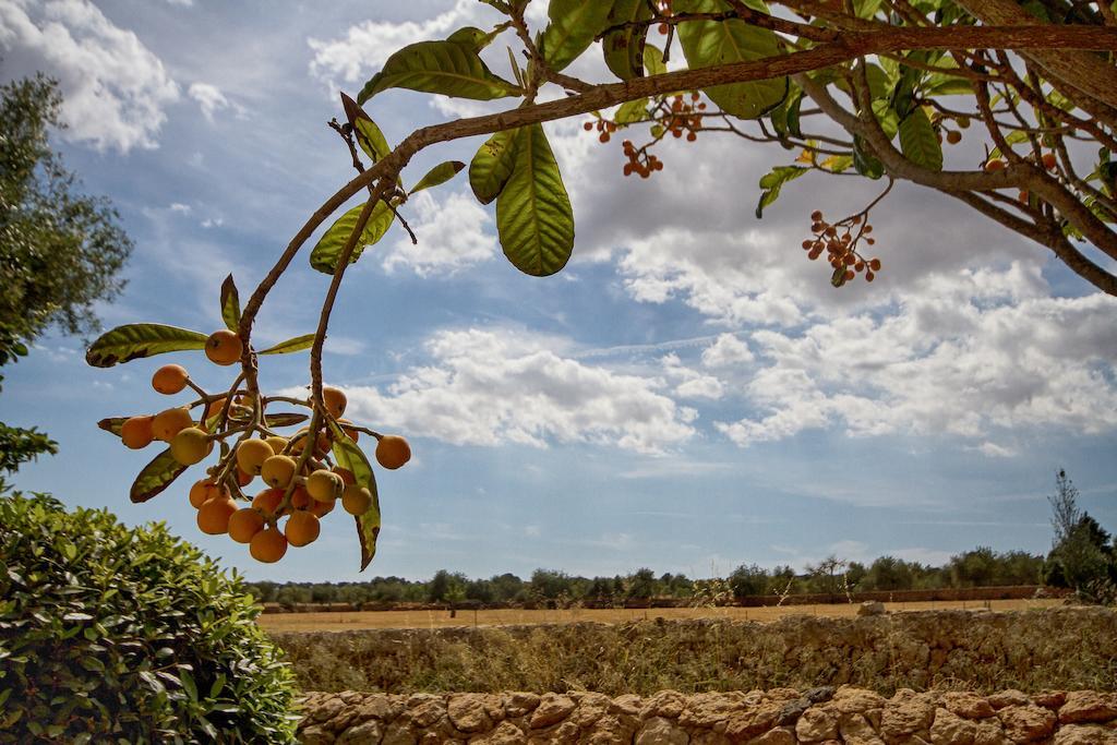 Finca Agroturismo Can Carro Campos  Bagian luar foto